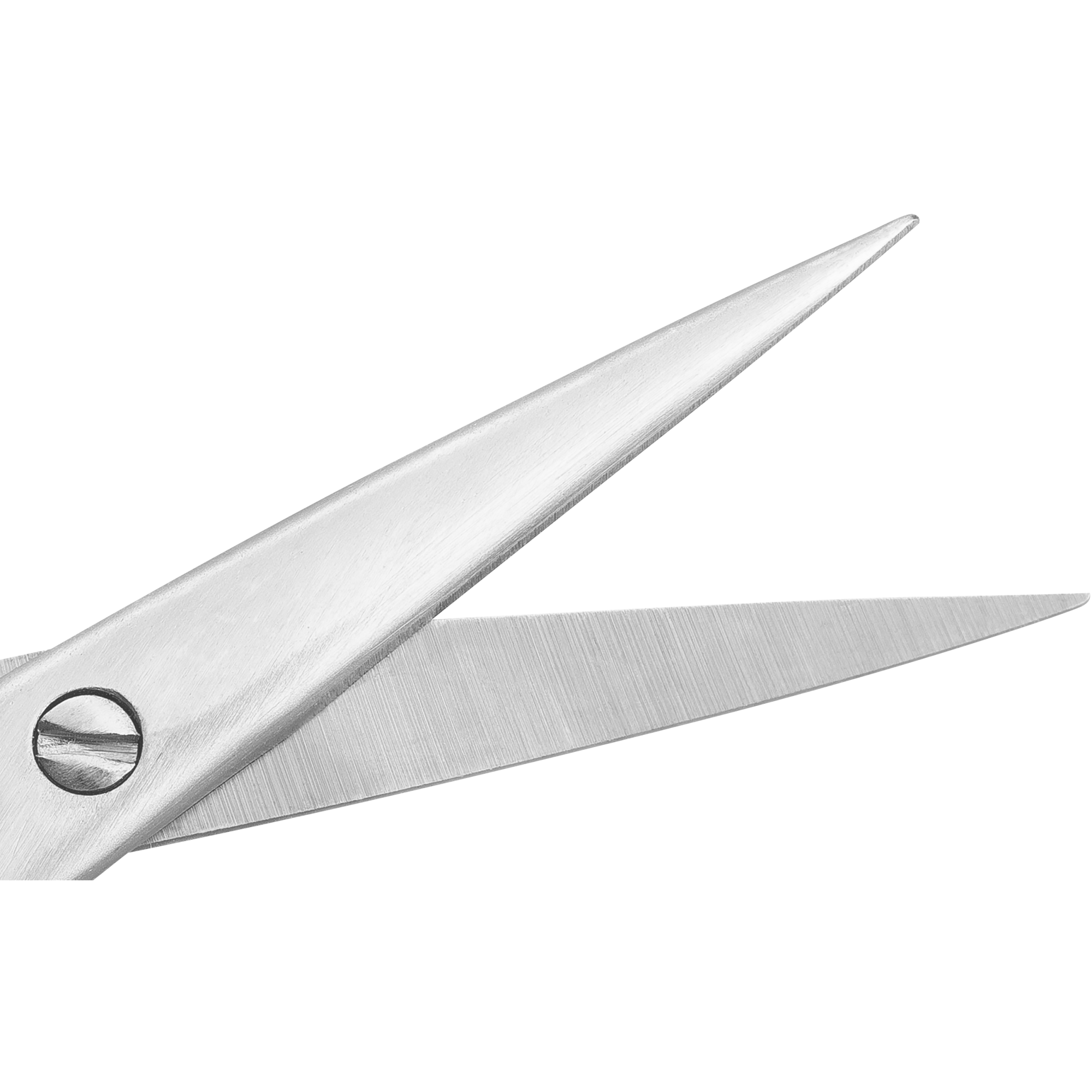 Nahaufnahme der geöffneten Schneide der ZWILLING Premium Augenbrauenschere aus rostfreiem Edelstahl mit abgewinkelter, hauchdünner Schneide.